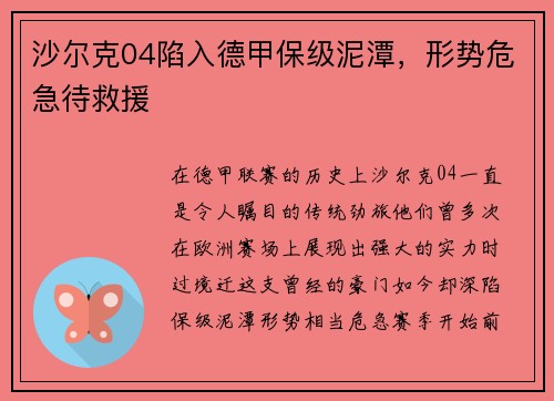 沙尔克04陷入德甲保级泥潭，形势危急待救援